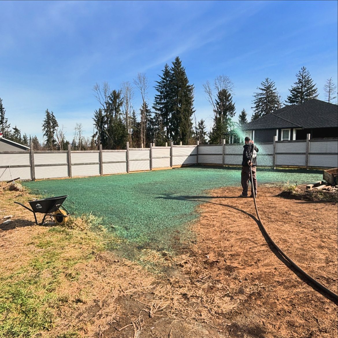 Backyard land clearing before photo Vancouver Island