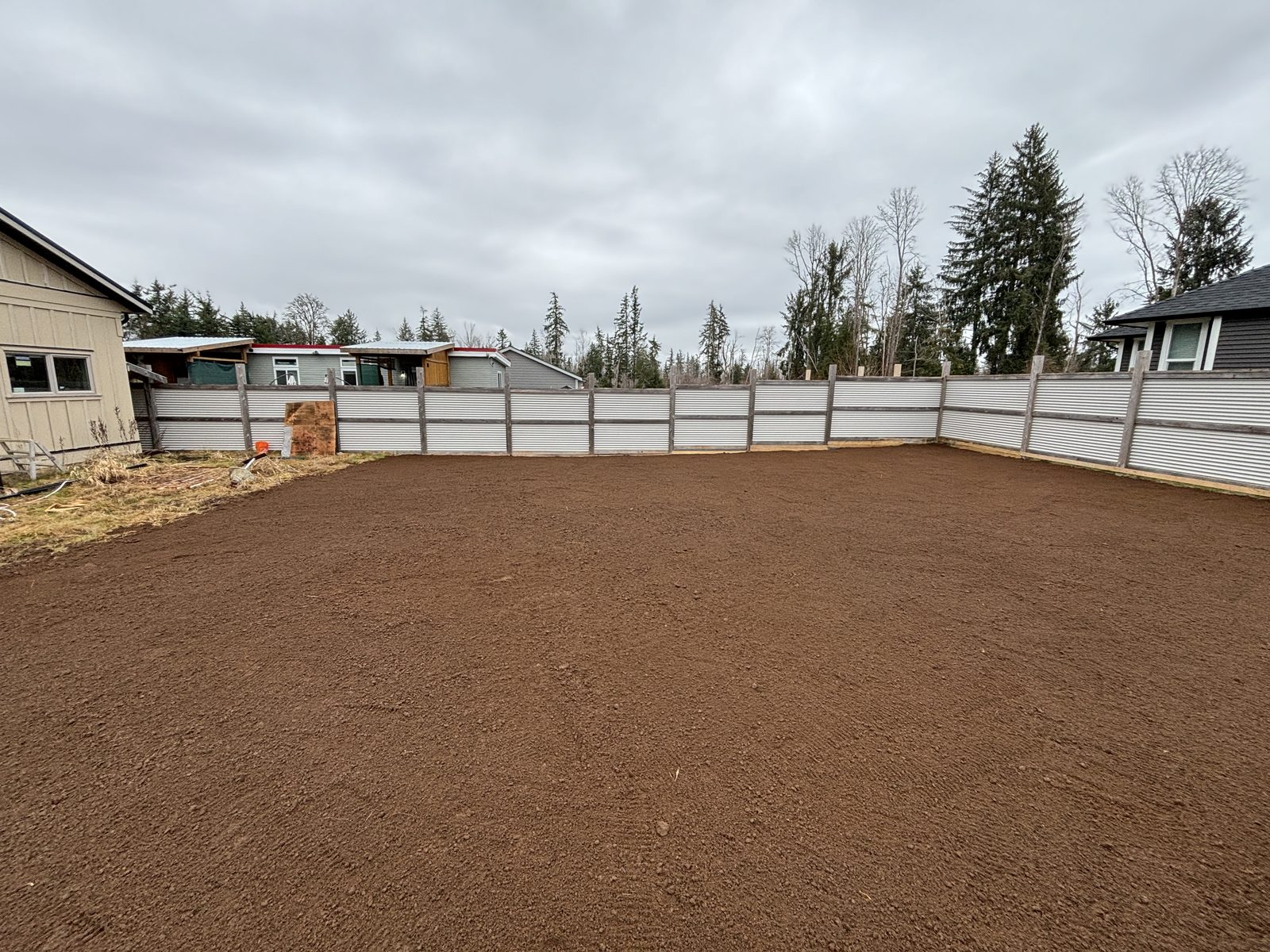 Backyard Restoration