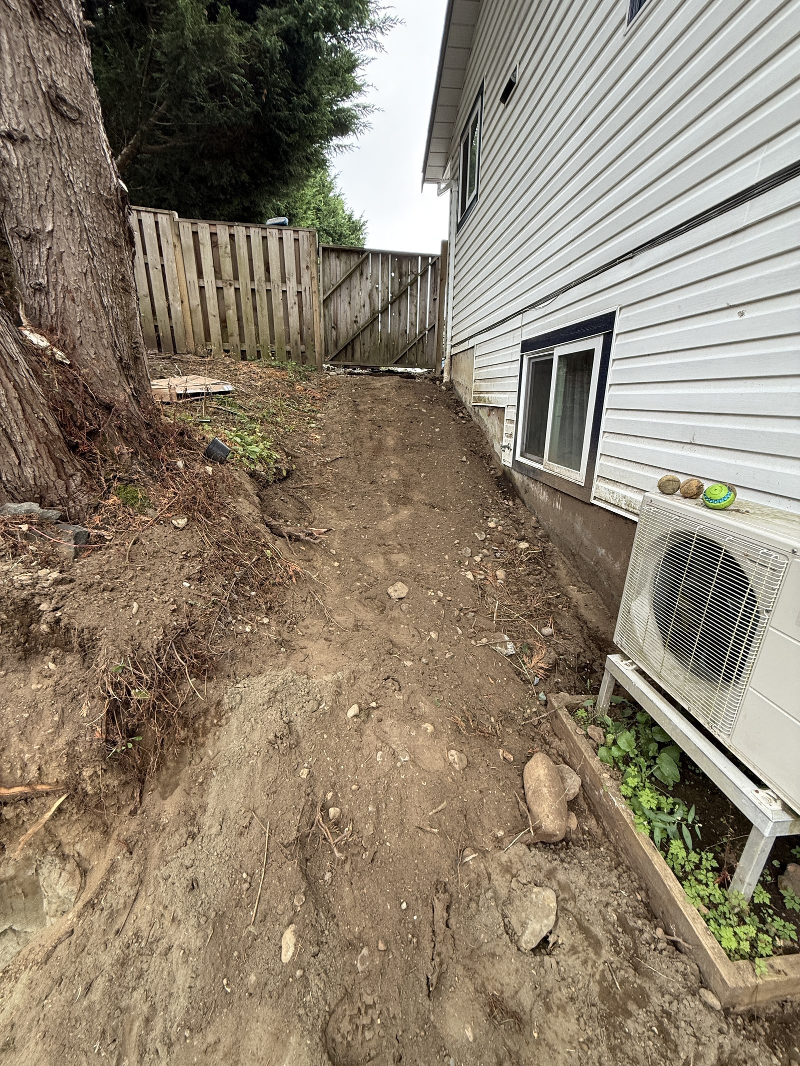 Side yard makeover progress Vancouver Island