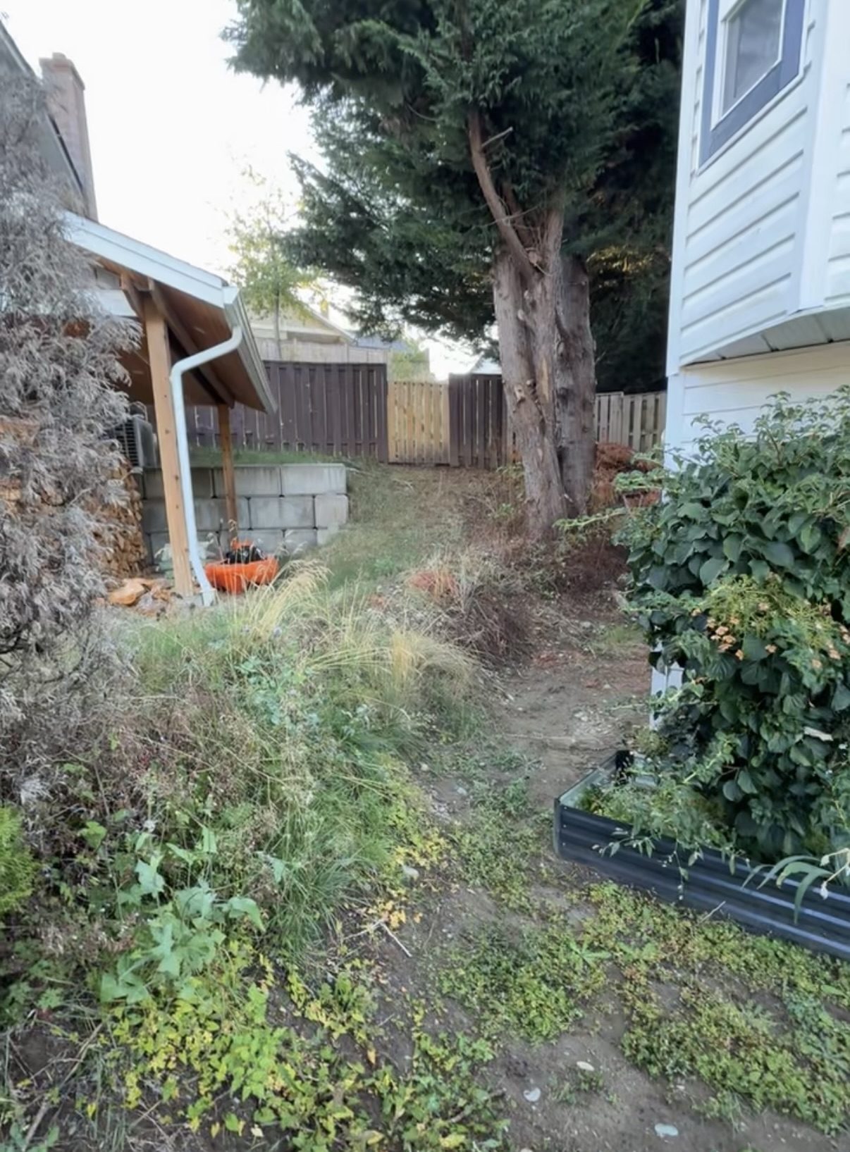 Completed side yard makeover Vancouver Island